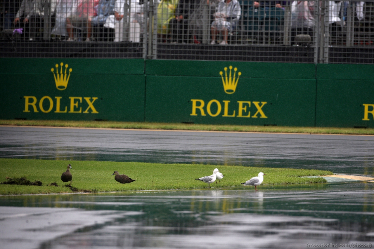 Formula 1 - Gran Premio di Australia 2013 - Qualifiche - 16 marzo 2013