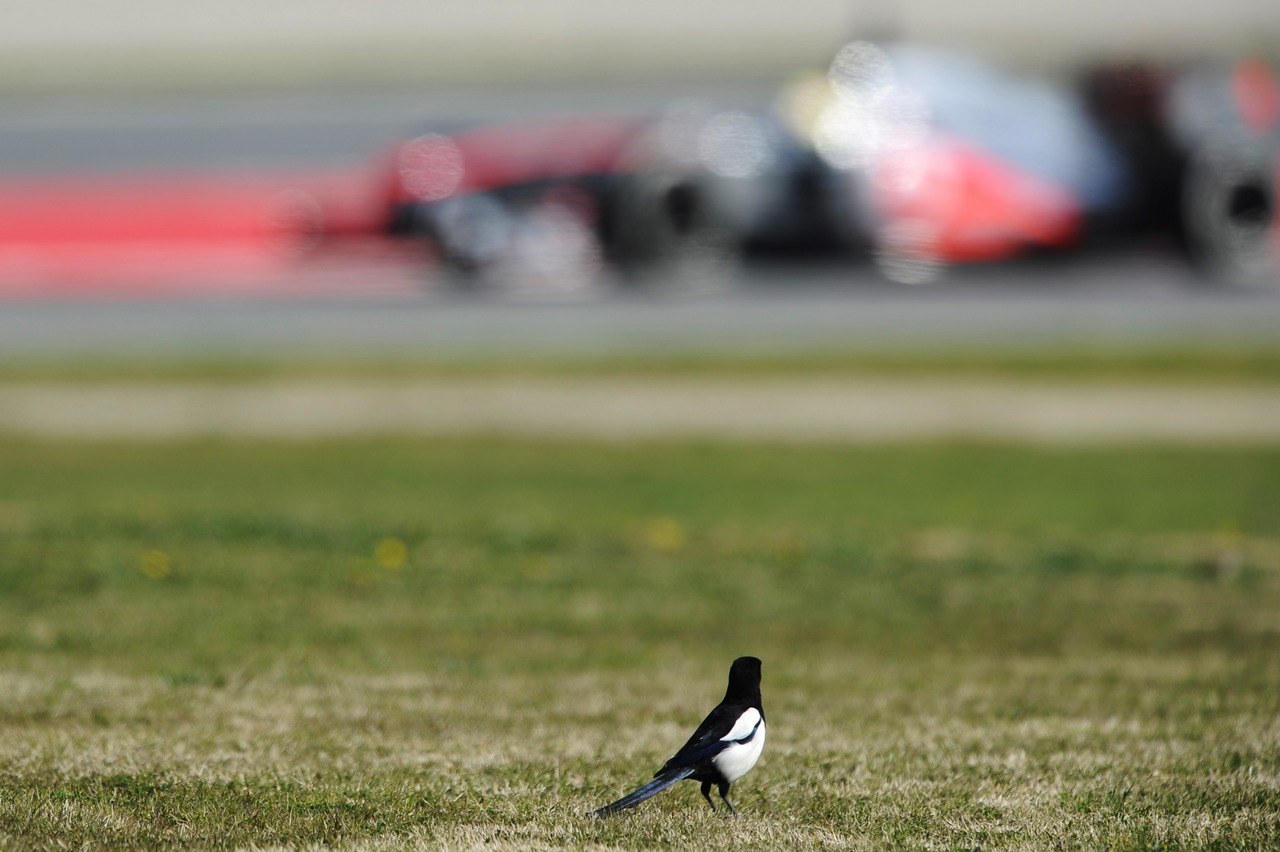 Formula 1 - Test F1 a Barcellona, Spagna 02 03 2013
