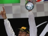 Lewis Hamilton - F1 World Champion 2014