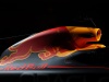 LIVREA RED BULL RB18