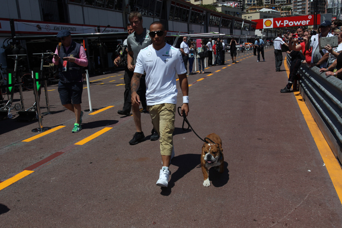 Watson: “Hamilton deve pensare a guidare, non al suo cane”