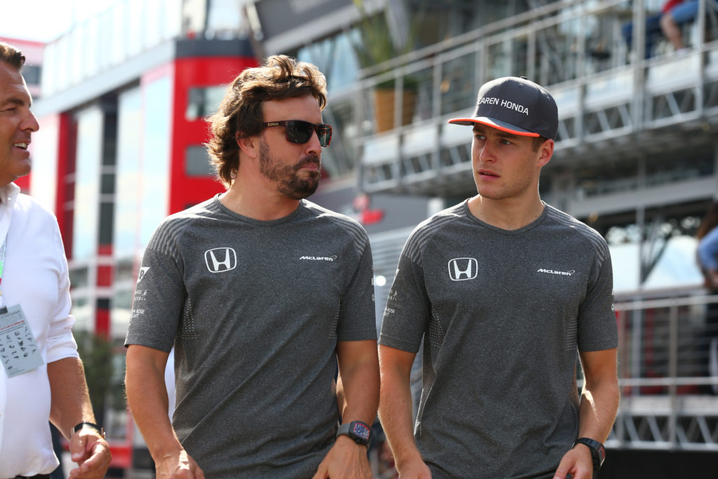 F1 | Vandoorne: “Io e Alonso come Massa e Stroll? No, Fernando non è il mio mentore”