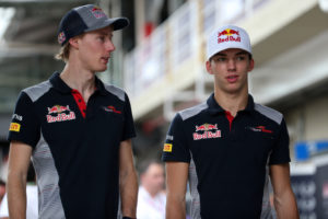 F1 | Toro Rosso, Marko: “Il vero potenziale di Gasly ed Hartley lo vedremo nel 2018”