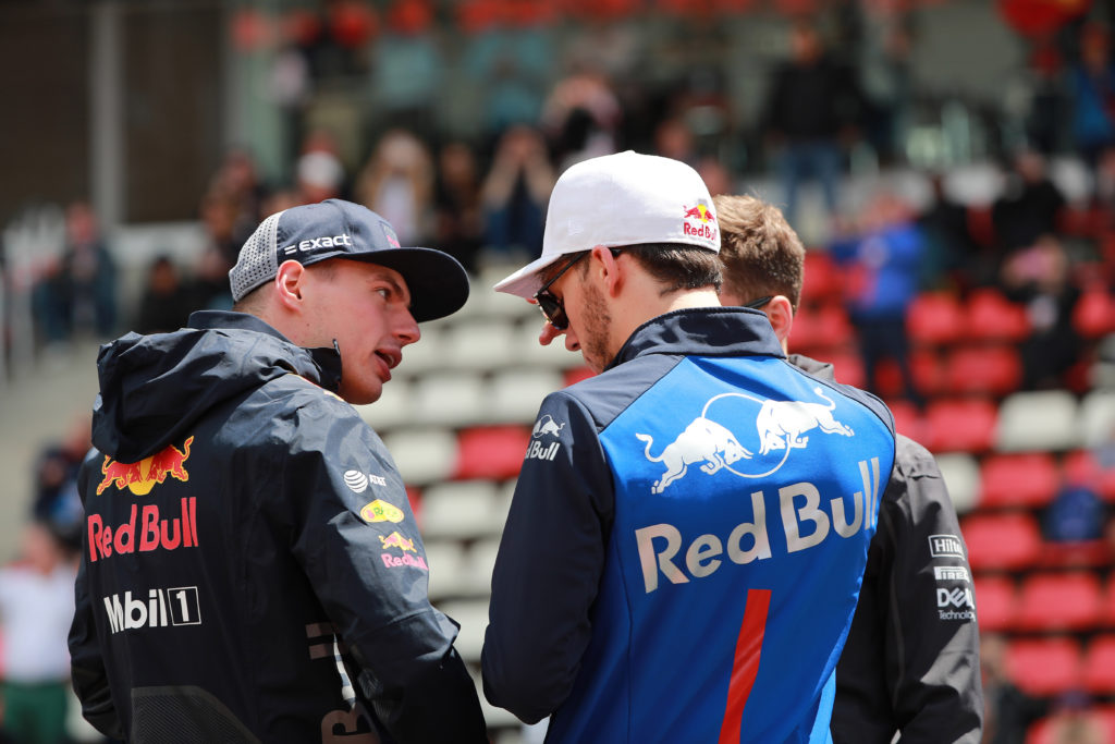 F1 | Red Bull, Gasly sul futuro rapporto con Verstappen: “La competizione ci spingerà a migliorare”